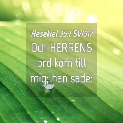 Picture 04 - Hesekiel 35:1 SV1917 - Och HERRENS ord kom till mig; han - Bible Verse Picture