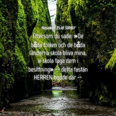 Picture 04 - Hesekiel 35:10 SV1917 - Eftersom du sade: »De båda folken och de båda - Bible Verse Picture