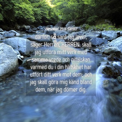Picture 04 - Hesekiel 35:11 SV1917 - därför, så sant jag lever, säger Herren, - Bible Verse Picture