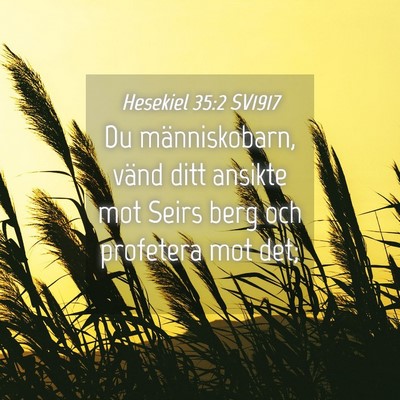 Picture 04 - Hesekiel 35:2 SV1917 - Du människobarn, vänd ditt ansikte mot Seirs - Bible Verse Picture