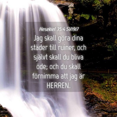 Picture 04 - Hesekiel 35:4 SV1917 - Jag skall göra dina städer till ruiner, och - Bible Verse Picture