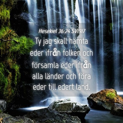 Picture 04 - Hesekiel 36:24 SV1917 - Ty jag skall hämta eder ifrån folken och - Bible Verse Picture
