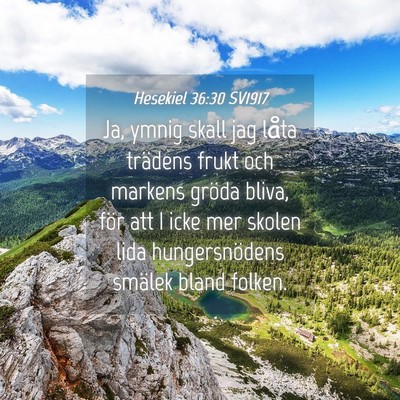 Picture 04 - Hesekiel 36:30 SV1917 - Ja, ymnig skall jag låta trädens frukt och - Bible Verse Picture