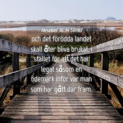 Picture 04 - Hesekiel 36:34 SV1917 - och det förödda landet skall åter bliva - Bible Verse Picture