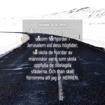 Picture 04 - Hesekiel 36:38 SV1917 - Såsom hjordar av offerdjur, såsom fårhjordar i - Bible Verse Picture