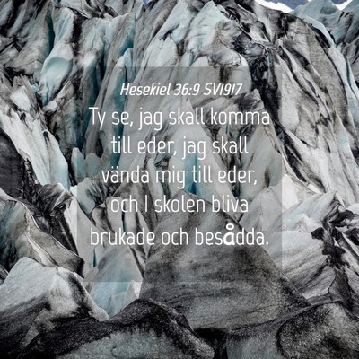 Picture 04 - Hesekiel 36:9 SV1917 - Ty se, jag skall komma till eder, jag skall - Bible Verse Picture