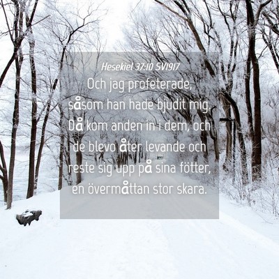 Picture 04 - Hesekiel 37:10 SV1917 - Och jag profeterade, såsom han hade bjudit mig. - Bible Verse Picture