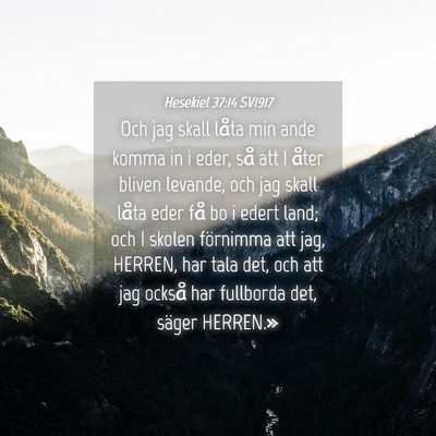 Picture 04 - Hesekiel 37:14 SV1917 - Och jag skall låta min ande komma in i eder, så - Bible Verse Picture