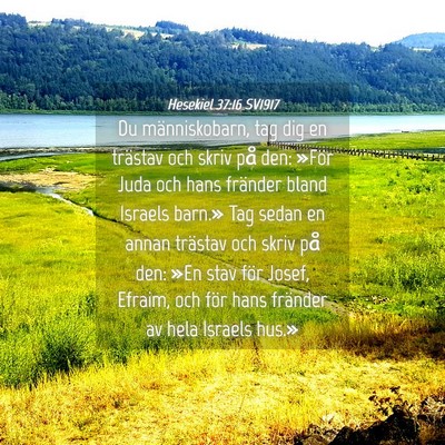 Picture 04 - Hesekiel 37:16 SV1917 - Du människobarn, tag dig en trästav och skriv - Bible Verse Picture