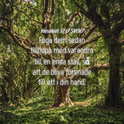 Picture 04 - Hesekiel 37:17 SV1917 - Foga dem sedan tillhopa med varandra till en enda - Bible Verse Picture