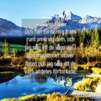 Picture 04 - Hesekiel 37:2 SV1917 - Och han förde mig fram runt omkring dem, och jag - Bible Verse Picture