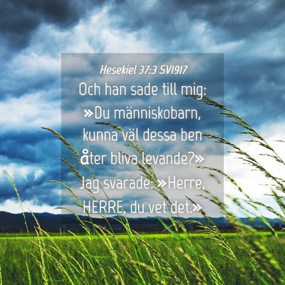 Picture 04 - Hesekiel 37:3 SV1917 - Och han sade till mig: »Du människobarn, kunna - Bible Verse Picture