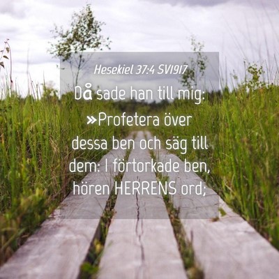 Picture 04 - Hesekiel 37:4 SV1917 - Då sade han till mig: »Profetera över dessa - Bible Verse Picture