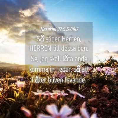 Picture 04 - Hesekiel 37:5 SV1917 - Så säger Herren, HERREN till dessa ben: Se, jag - Bible Verse Picture