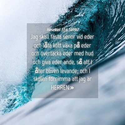 Picture 04 - Hesekiel 37:6 SV1917 - Jag skall fästa senor vid eder och låta kött - Bible Verse Picture
