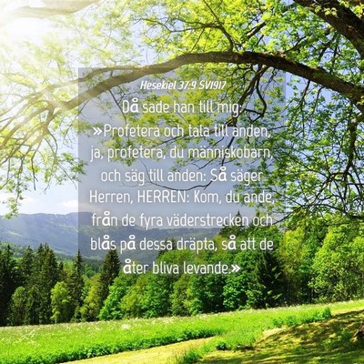 Picture 04 - Hesekiel 37:9 SV1917 - Då sade han till mig: »Profetera och tala till - Bible Verse Picture