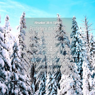 Picture 04 - Hesekiel 38:14 SV1917 - Profetera därför, du människobarn och säg - Bible Verse Picture