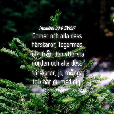 Picture 04 - Hesekiel 38:6 SV1917 - Gomer och alla dess härskaror, Togarmas folk - Bible Verse Picture