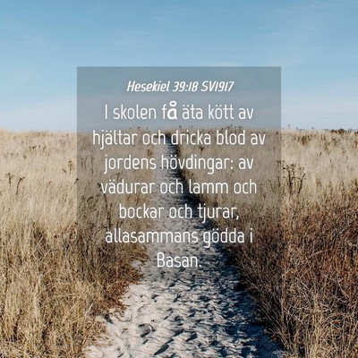 Picture 04 - Hesekiel 39:18 SV1917 - I skolen få äta kött av hjältar och dricka - Bible Verse Picture