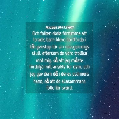 Picture 04 - Hesekiel 39:23 SV1917 - Och folken skola förnimma att Israels barn blevo - Bible Verse Picture