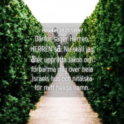 Picture 04 - Hesekiel 39:25 SV1917 - Därför säger Herren, HERREN så: Nu skall jag - Bible Verse Picture