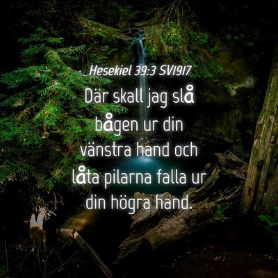 Picture 04 - Hesekiel 39:3 SV1917 - Där skall jag slå bågen ur din vänstra hand - Bible Verse Picture