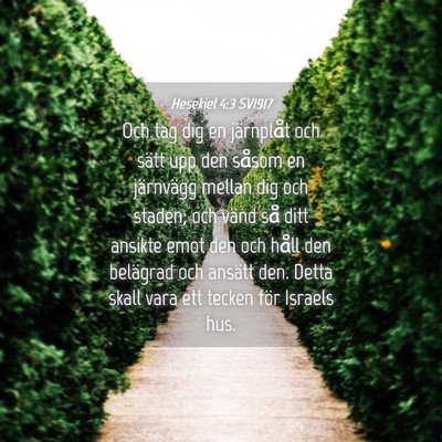 Picture 04 - Hesekiel 4:3 SV1917 - Och tag dig en järnplåt och sätt upp den - Bible Verse Picture