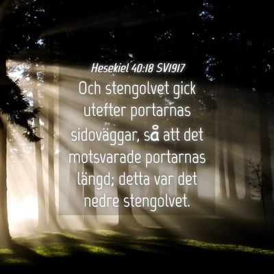 Picture 04 - Hesekiel 40:18 SV1917 - Och stengolvet gick utefter portarnas - Bible Verse Picture