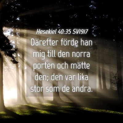 Picture 04 - Hesekiel 40:35 SV1917 - Därefter förde han mig till den norra porten - Bible Verse Picture