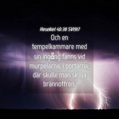 Picture 04 - Hesekiel 40:38 SV1917 - Och en tempelkammare med sin ingång fanns vid - Bible Verse Picture