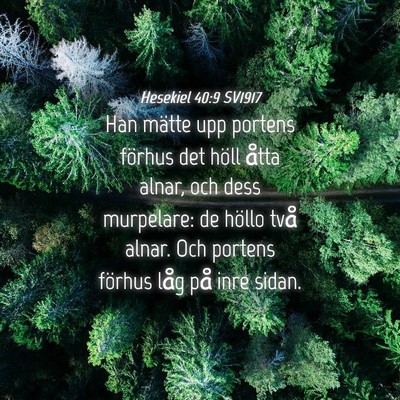 Picture 04 - Hesekiel 40:9 SV1917 - Han mätte upp portens förhus det höll åtta - Bible Verse Picture