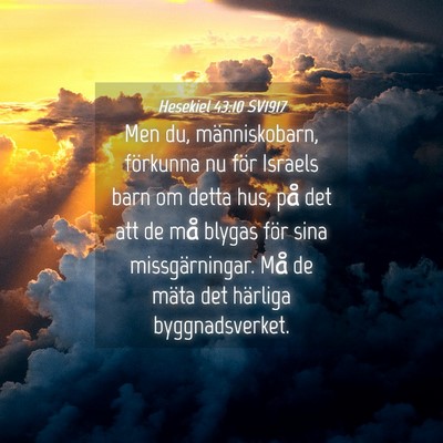 Picture 04 - Hesekiel 43:10 SV1917 - Men du, människobarn, förkunna nu för Israels - Bible Verse Picture