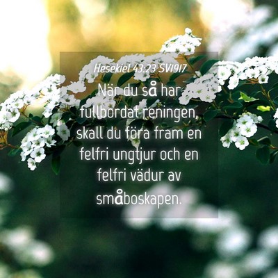 Picture 04 - Hesekiel 43:23 SV1917 - När du så har fullbordat reningen, skall du - Bible Verse Picture
