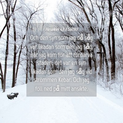 Picture 04 - Hesekiel 43:3 SV1917 - Och den syn som jag då såg var likadan som den - Bible Verse Picture