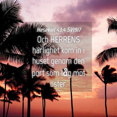 Picture 04 - Hesekiel 43:4 SV1917 - Och HERRENS härlighet kom in i huset genom den - Bible Verse Picture