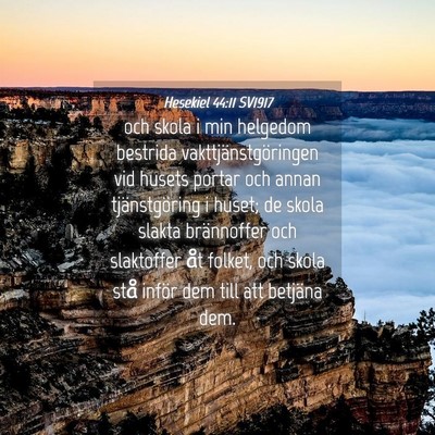 Picture 04 - Hesekiel 44:11 SV1917 - och skola i min helgedom bestrida - Bible Verse Picture