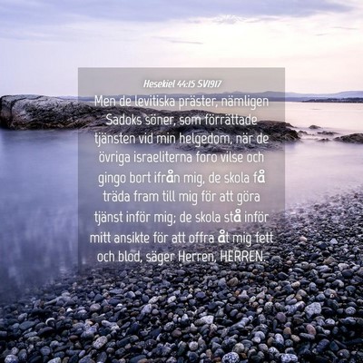 Picture 04 - Hesekiel 44:15 SV1917 - Men de levitiska präster, nämligen Sadoks - Bible Verse Picture