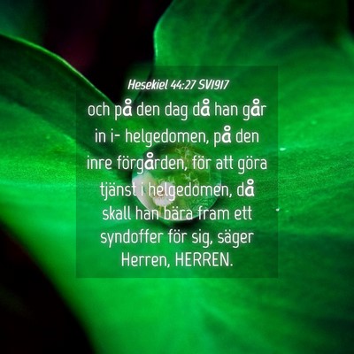 Picture 04 - Hesekiel 44:27 SV1917 - och på den dag då han går in i- helgedomen, - Bible Verse Picture