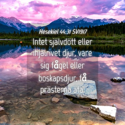 Picture 04 - Hesekiel 44:31 SV1917 - Intet självdött eller ihjälrivet djur, vare - Bible Verse Picture