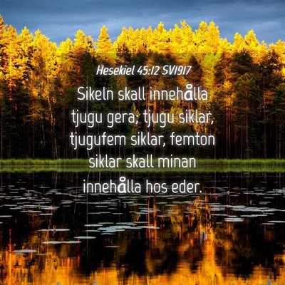 Picture 04 - Hesekiel 45:12 SV1917 - Sikeln skall innehålla tjugu gera; tjugu siklar, - Bible Verse Picture