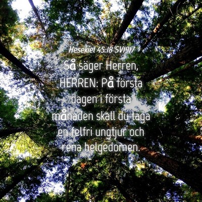 Picture 04 - Hesekiel 45:18 SV1917 - Så säger Herren, HERREN: På första dagen i - Bible Verse Picture