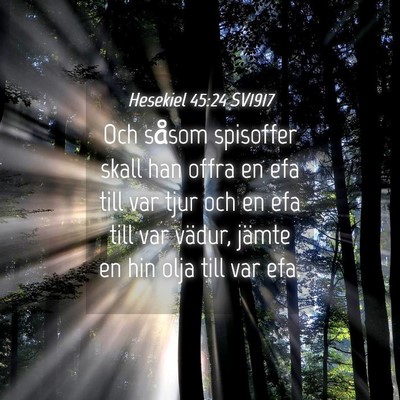 Picture 04 - Hesekiel 45:24 SV1917 - Och såsom spisoffer skall han offra en efa till - Bible Verse Picture
