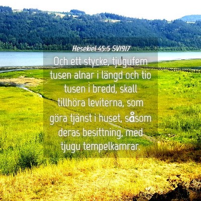 Picture 04 - Hesekiel 45:5 SV1917 - Och ett stycke, tjugufem tusen alnar i längd och - Bible Verse Picture
