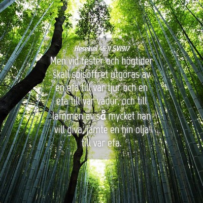 Picture 04 - Hesekiel 46:11 SV1917 - Men vid fester och högtider skall spisoffret - Bible Verse Picture