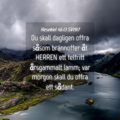 Picture 04 - Hesekiel 46:13 SV1917 - Du skall dagligen offra såsom brännoffer åt - Bible Verse Picture