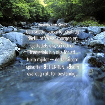 Picture 04 - Hesekiel 46:14 SV1917 - Och såsom spisoffer skall du därtill offra var - Bible Verse Picture