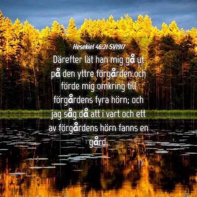 Picture 04 - Hesekiel 46:21 SV1917 - Därefter lät han mig gå ut på den yttre - Bible Verse Picture