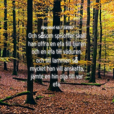Picture 04 - Hesekiel 46:7 SV1917 - Och såsom spisoffer skall han offra en efa till - Bible Verse Picture