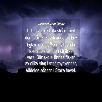 Picture 04 - Hesekiel 47:10 SV1917 - Och fiskare skola stå utmed den från En-Gedi - Bible Verse Picture