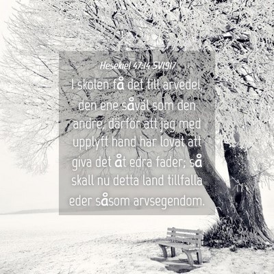 Picture 04 - Hesekiel 47:14 SV1917 - I skolen få det till arvedel, den ene såväl - Bible Verse Picture